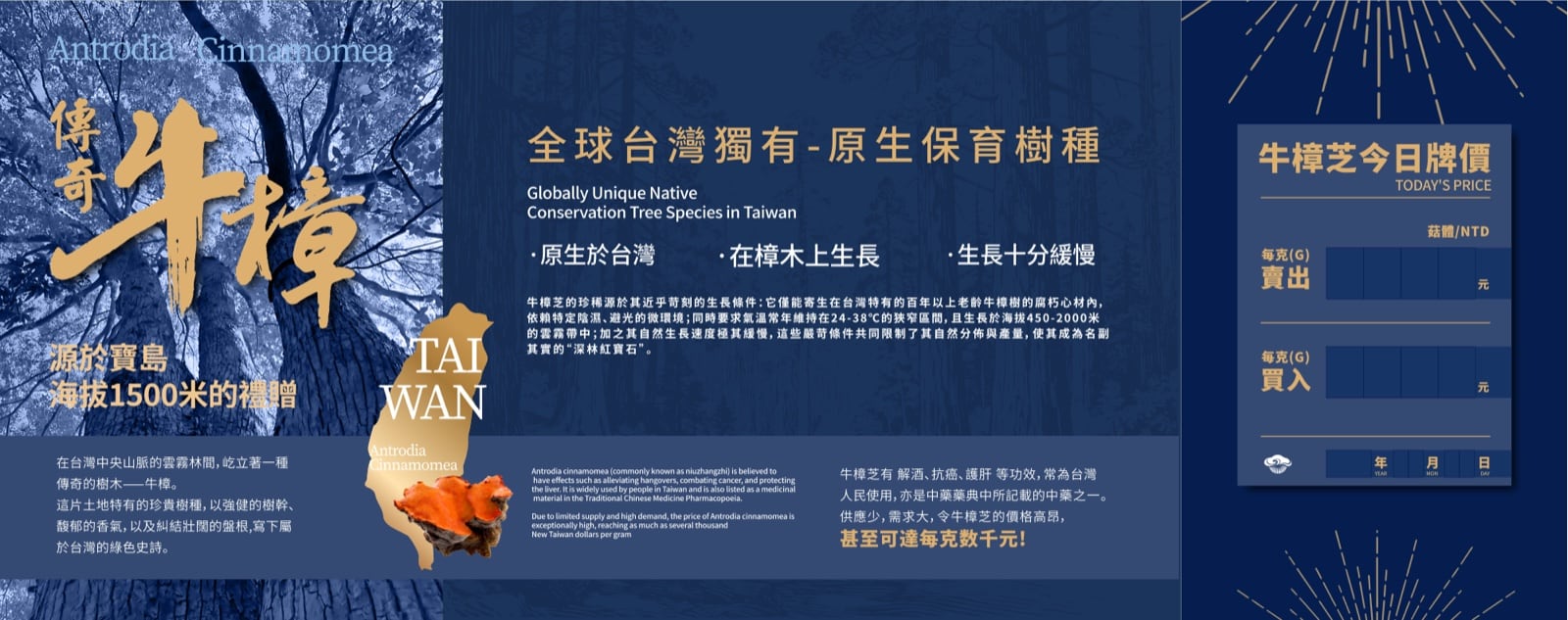 全球台灣稀有・原生保育樹種 — 全球唯一原生千年牛樟，原生於台灣的保育樹種