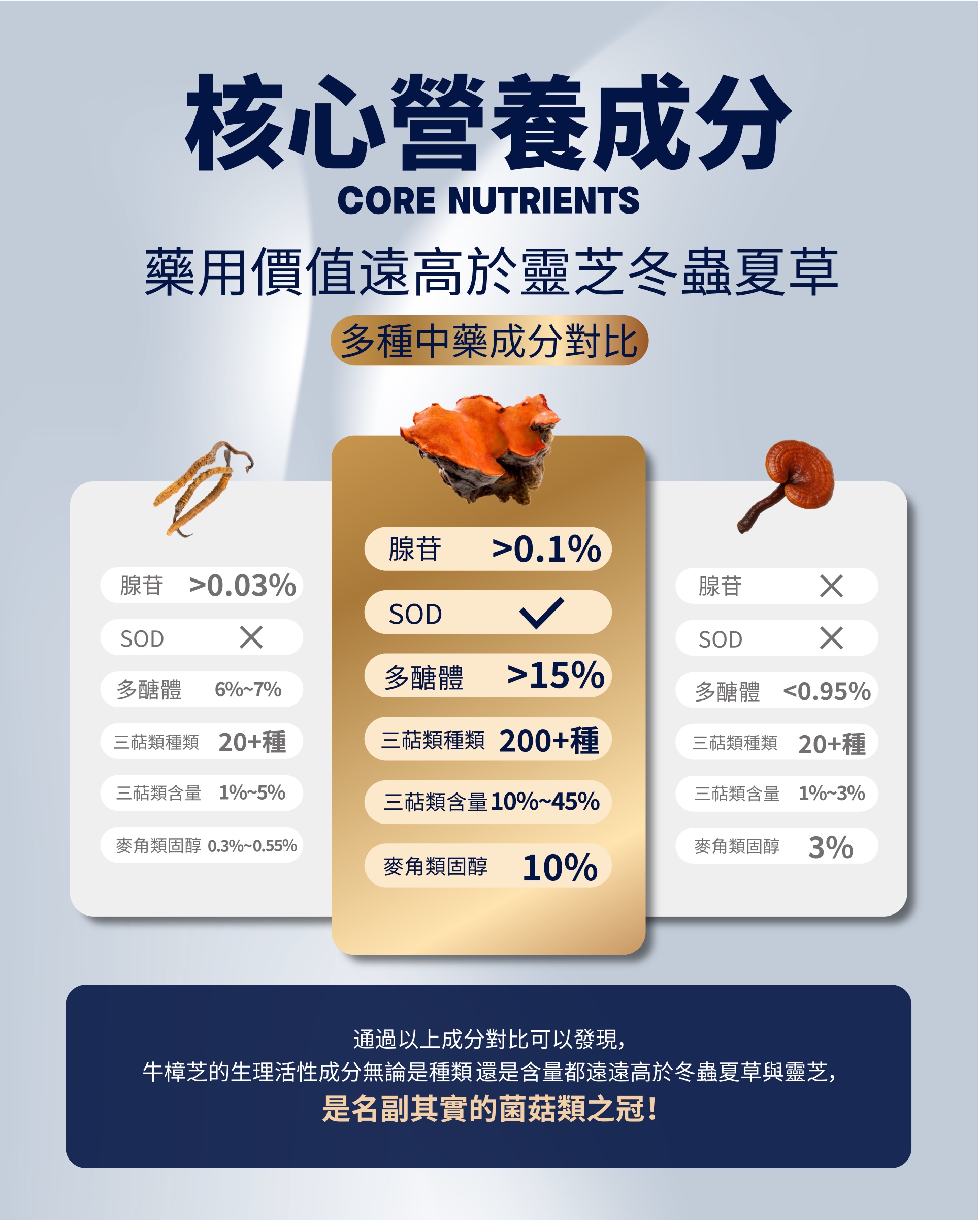 核心營養成分對比 — 牛樟芝的腺苷 >0.1%、SOD ✓、多醣體 >15%、三萜類 200+ 種、三萜含量 10%–45%、麥角類固醇 10%，皆遠高於冬蟲夏草與靈芝